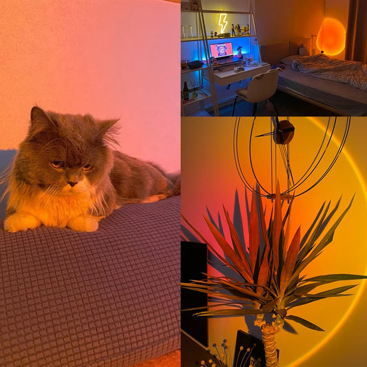 Nuvexa - Sunset Lamp Nightlights